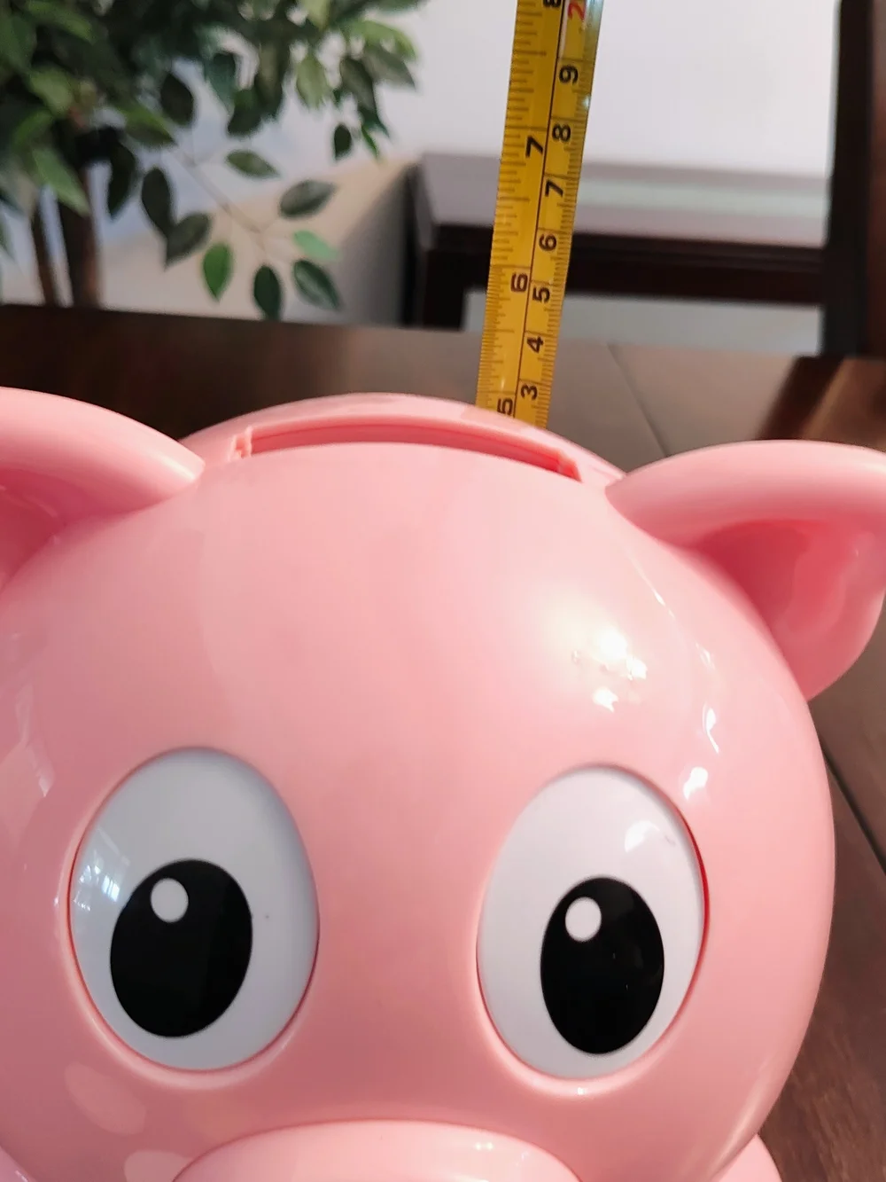 Pink Piggy Bank Shape Sorter Toy with Numbered Coins - Educational Kids Toy